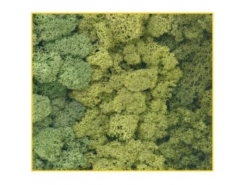 Muschio verde assortiti 50 g. ( Er Decor - ER.1011 )