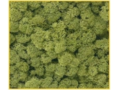 Muschio verde chiaro 50 g. ( Er Decor - ER.1013 )