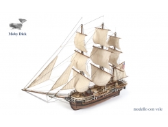ESSEX La nave che ha ispirato il romanzo Moby Dick 
