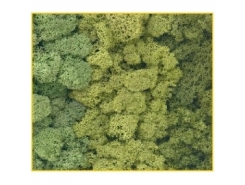 Muschio verde assortiti 125 g. ( Er Decor - ER.1021 )