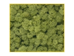 Muschio verde chiaro 125 g. ( Er Decor - ER.1023 )
