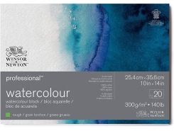 Winsor & Newton Carta per Acquerello (Watercolour Professional) Grana Torchon 25.4 x 35.6 cm 300 g